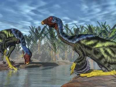 Illustration of two Caudipteryx dinosaurs drinking from a river
